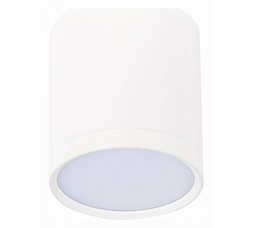 Накладной светильник ST-Luce Rene ST113.542.05