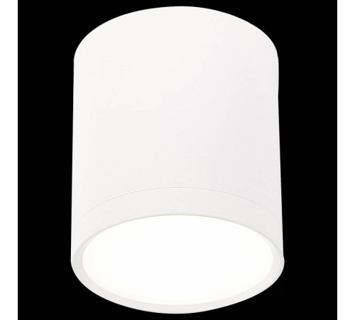 Накладной светильник ST-Luce Rene ST113.542.05