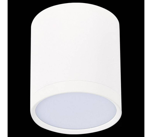 Накладной светильник ST-Luce Rene ST113.542.05