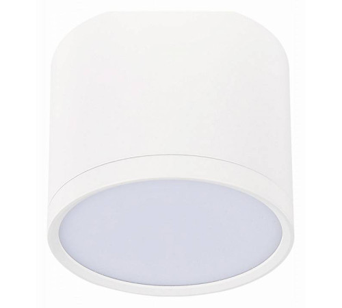 Накладной светильник ST-Luce Rene ST113.542.09