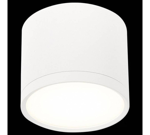 Накладной светильник ST-Luce Rene ST113.542.09