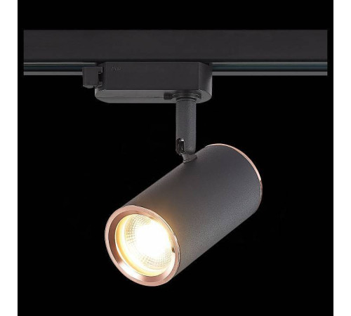 Светильник на штанге ST-Luce Cromi ST301.426.01