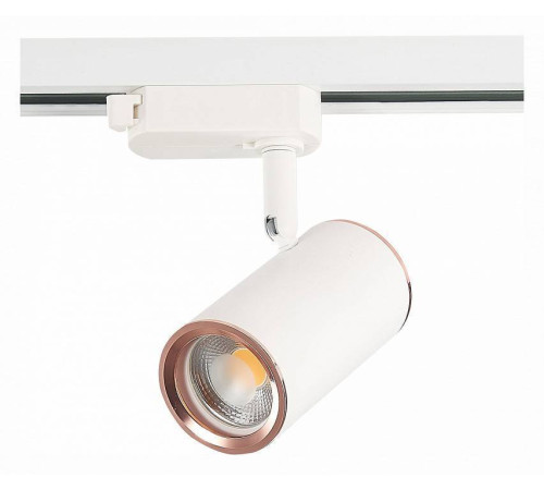 Светильник на штанге ST-Luce Cromi ST301.526.01