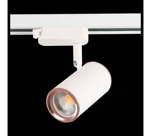 Светильник на штанге ST-Luce Cromi ST301.526.01