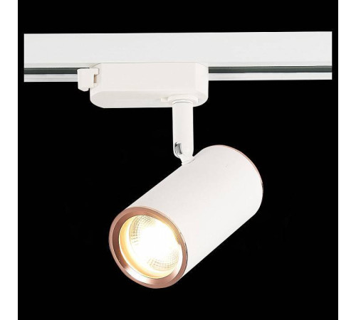 Светильник на штанге ST-Luce Cromi ST301.526.01