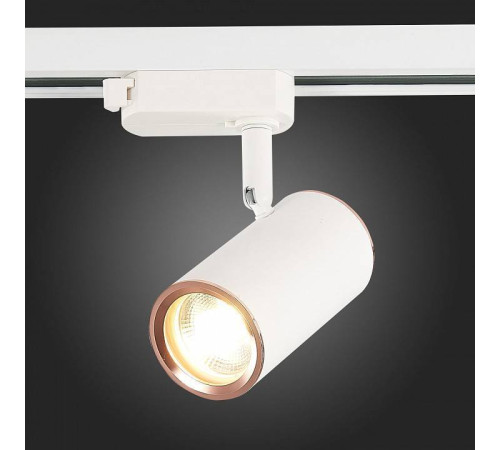 Светильник на штанге ST-Luce Cromi ST301.526.01