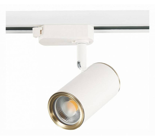 Светильник на штанге ST-Luce Cromi ST301.536.01