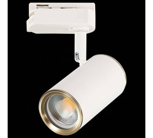 Светильник на штанге ST-Luce Cromi ST301.536.01