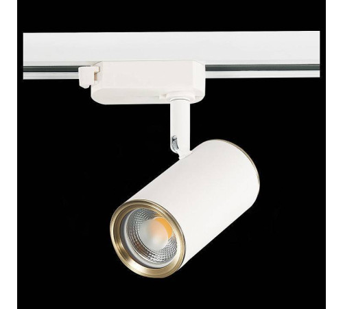 Светильник на штанге ST-Luce Cromi ST301.536.01