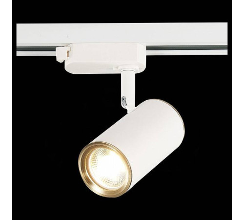 Светильник на штанге ST-Luce Cromi ST301.536.01