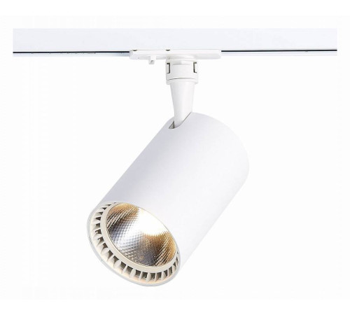 Светильник на штанге ST-Luce Cami ST351.546.30.36