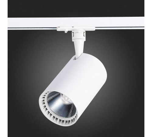 Светильник на штанге ST-Luce Cami ST351.546.30.36