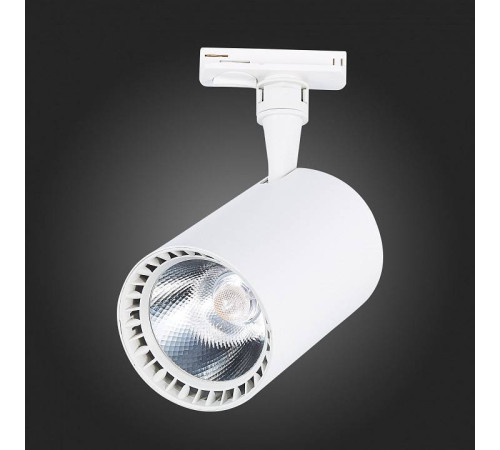 Светильник на штанге ST-Luce Cami ST351.546.30.36