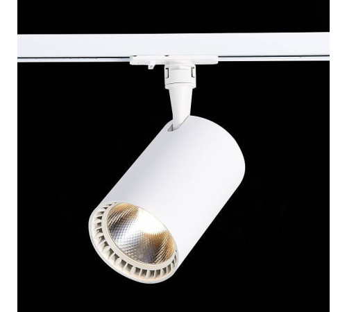 Светильник на штанге ST-Luce Cami ST351.546.30.36