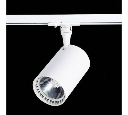 Светильник на штанге ST-Luce Cami ST351.546.30.36