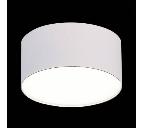 Накладной светильник ST-Luce ST606 ST606.542.12