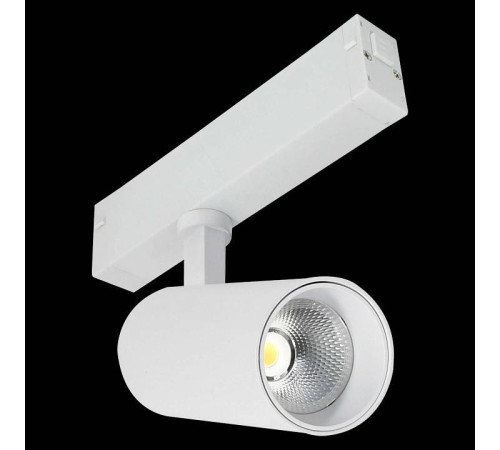 Светильник на штанге ST-Luce ST660 ST660.596.10