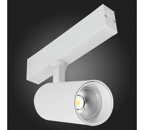 Светильник на штанге ST-Luce ST660 ST660.596.10