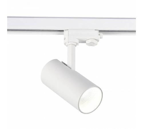 Светильник на штанге ST-Luce ST661 ST661.546.20