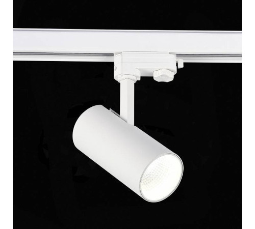 Светильник на штанге ST-Luce ST661 ST661.546.20