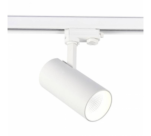 Светильник на штанге ST-Luce ST661 ST661.546.30