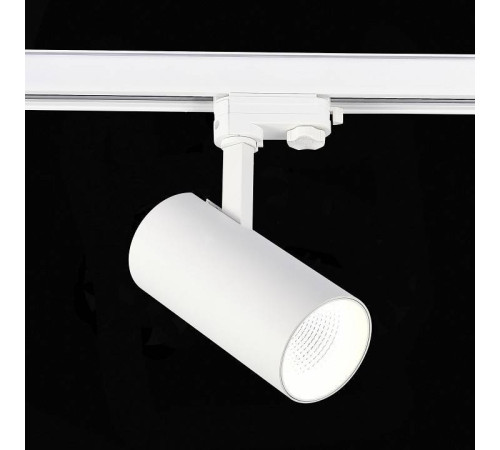 Светильник на штанге ST-Luce ST661 ST661.546.30