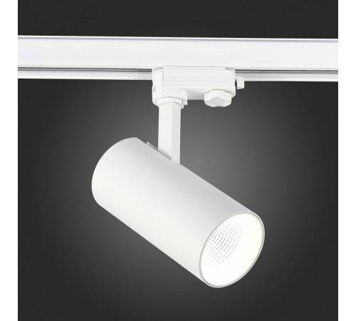 Светильник на штанге ST-Luce ST661 ST661.546.30