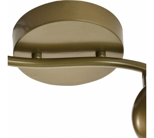 Спот TopLight Carissa TL1244Y-02SG