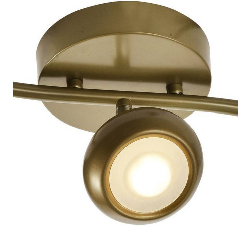 Спот TopLight Carissa TL1244Y-03SG