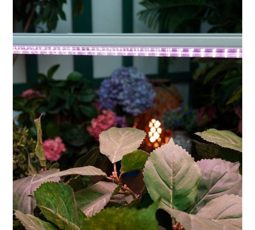 Светильник для растений Uniel ULI-P13 UL-00008920