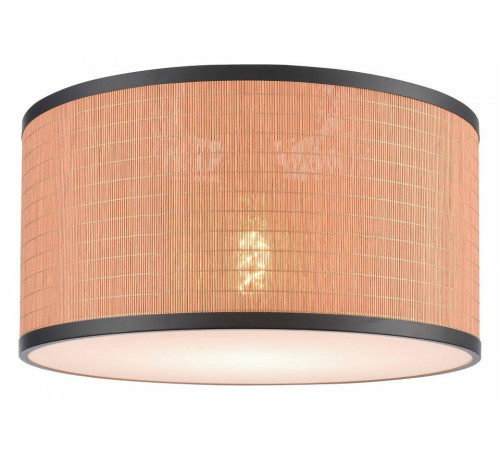 Накладной светильник Velante 568 568-707-01