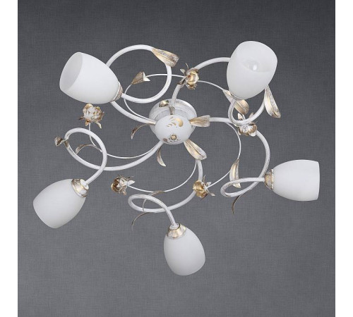 Потолочная люстра Vitaluce V1538 V1538/5PL