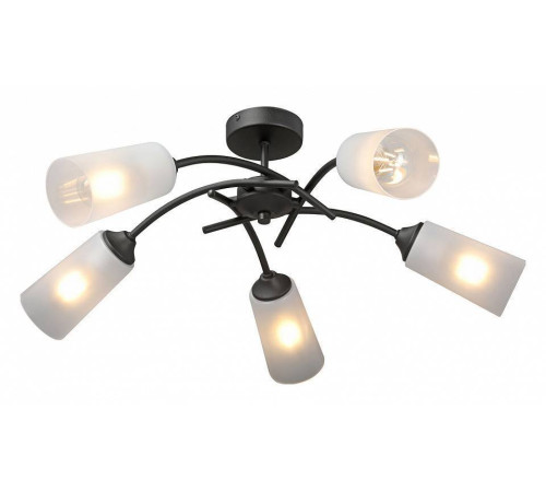 Люстра на штанге Vitaluce V2850 V2850-1/5PL