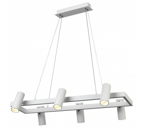 Подвесной светильник Vele Luce Neo VL10021P06