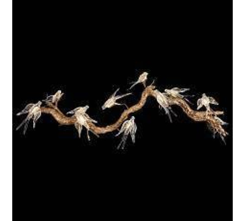 Подвесная люстра Wertmark Viviana WE183.11.503