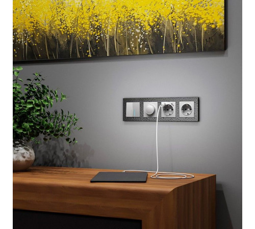 Розетка с заземлением и со шторкой и 2хUSB, без рамки Werkel W1171506