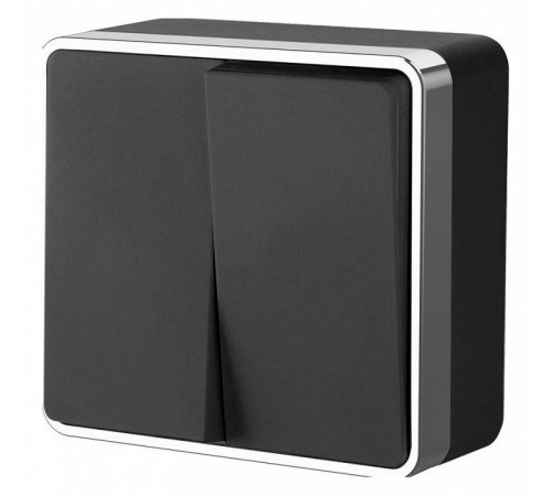 Выключатель двухклавишный Werkel Gallant (черный/хром) W5020035