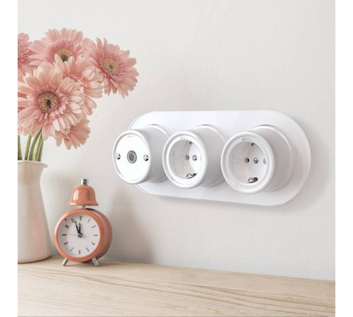 Розетка с заземлением, без рамки Werkel Ретро белый W5671001