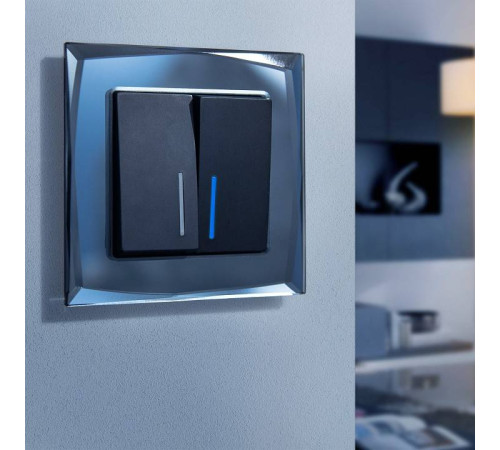 Рамка на 1 пост Werkel Diamant (черный) W0011208