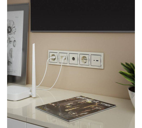 Розетка с заземлением, без рамки Werkel Слоновая кость W1171003