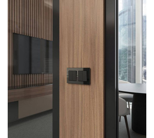 Выключатель двухклавишный без рамки Werkel черный W1123006