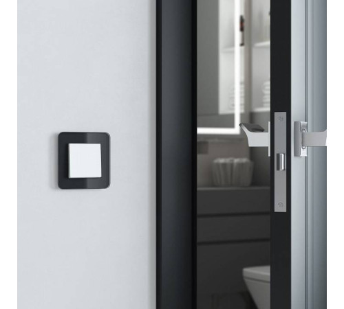 Рамка на 1 пост Werkel Elite черный W0012448