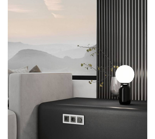 Накладка для розетки с заземлением и 2хUSB Werkel Графит акрил W1179544