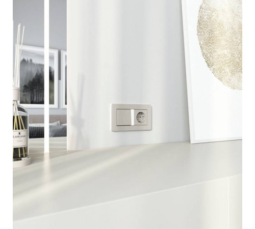 Розетка с заземлением и со шторкой, без рамки Werkel дымчатый W1271104