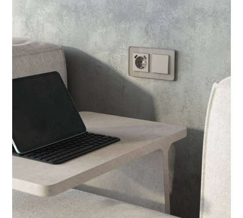 Накладка для розетки с заземлением и 2хUSB Werkel дымчатый W1279504