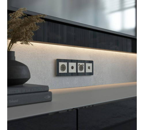 Накладка для розетки с заземлением и 2хUSB Werkel дымчатый W1279504