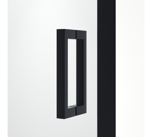 Душевая дверь RGW Passage PA-016B 1200 мм прозрачное стекло черный 350801612-14