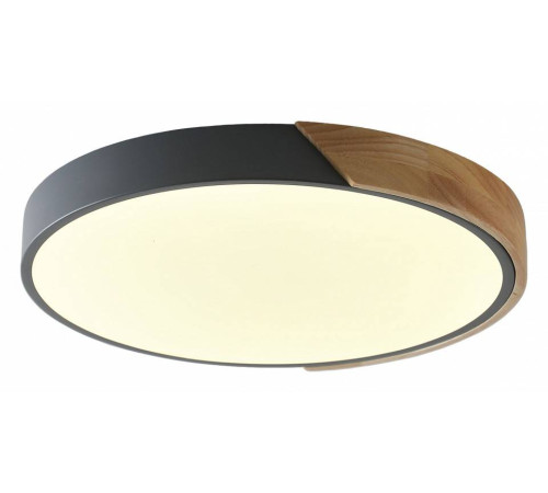 Накладной светильник Zortes ALBERRO ZRS.01280.24