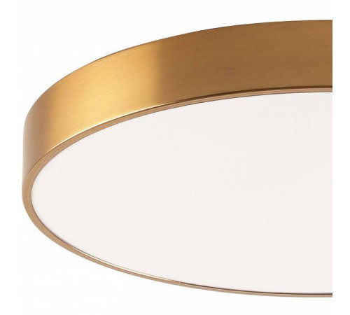 Накладной светильник Zortes Tortty ZRS.02566.96