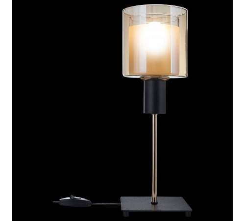 Настольная лампа декоративная 33 идеи TLL201 TLL201.02.05.BL-S25AM